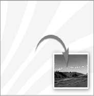uneedus010001.gif
